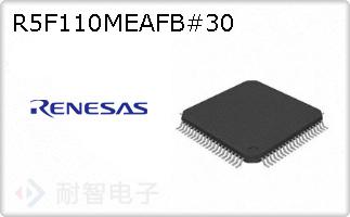 R5F110MEAFB#30